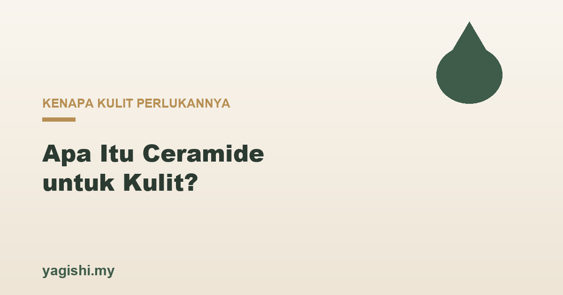 Apa itu ceramide dan kenapa kulit perlukannya - Yagishi