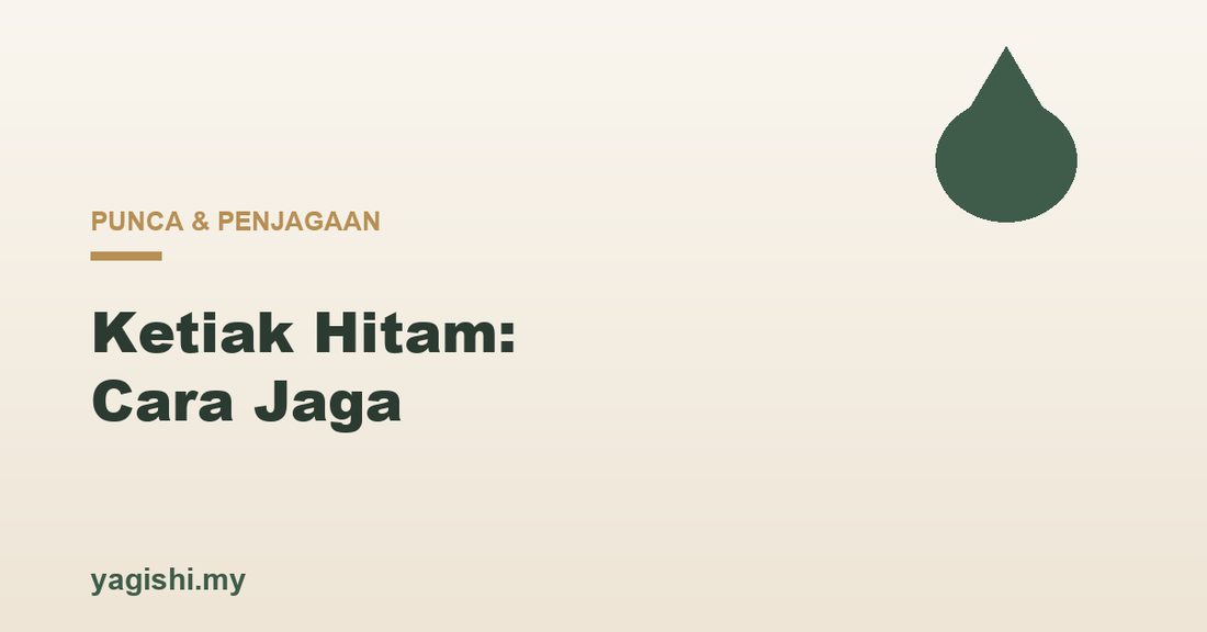Ketiak hitam punca dan cara jaga dengan lembut - panduan Yagishi