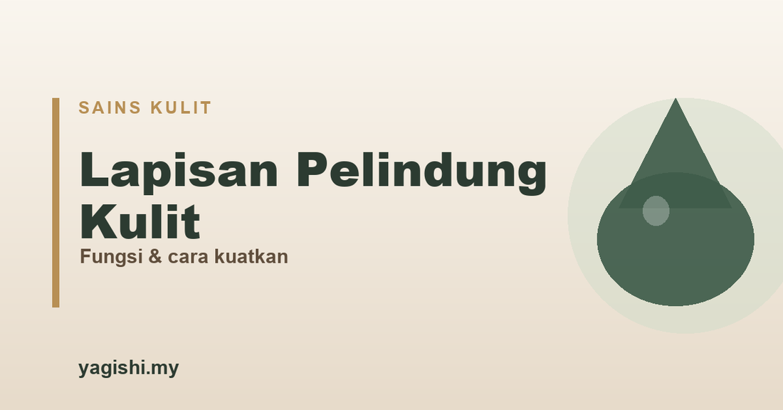 Lapisan pelindung kulit, fungsi dan cara kuatkan - panduan Yagishi