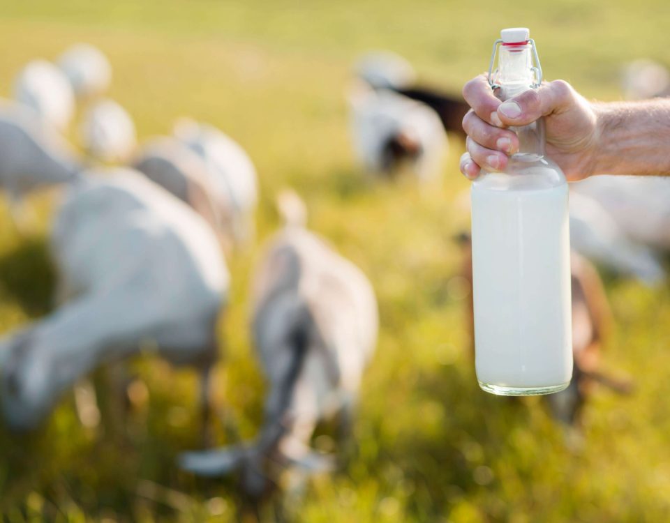 close-up-man-with-bottle-goat-milk